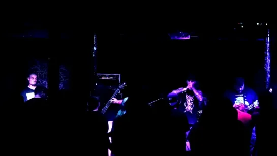 Visceral Disgorge — "Necrocoprophagia [Live - Louisville Death Fest]" (2014)