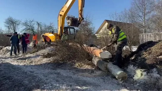 В Ленобласти дорожники перенесли гнездо аистов весом 200 килограммов