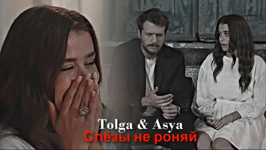 Tolga & Asya - Слёзы не роняй