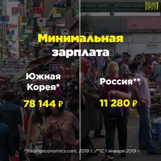 Россия vs Южная Корея