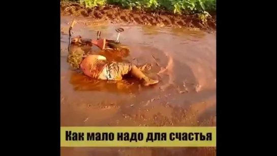 Как мало надо для счастья!