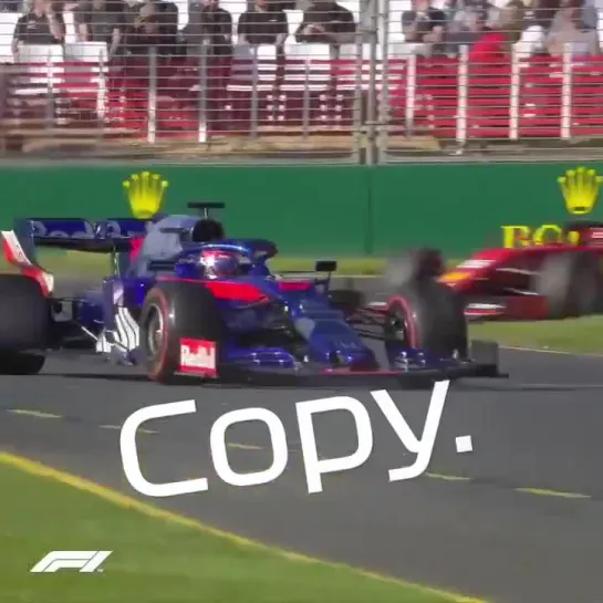 Australia 2019: Where is Kvyat's drink?