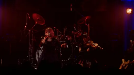 UNLUCKY MORPHEUS : Live 2017 (HD)