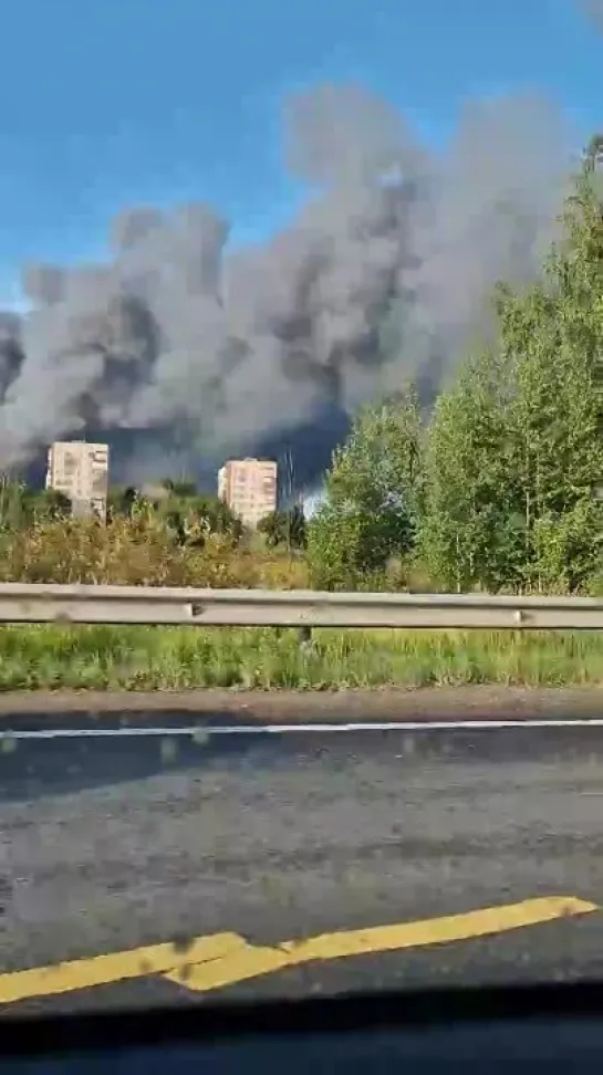 Видео от Надежды Смиринской