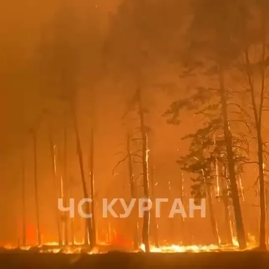 Видео от Сплоченность и Единство