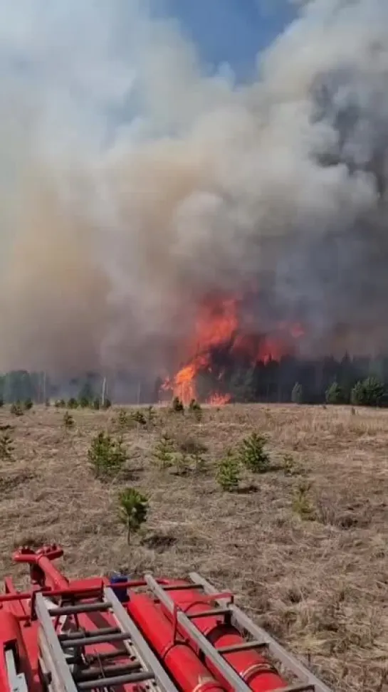 Видео от Сплоченность и Единство