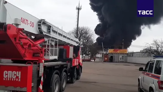 Видео от Белгород ПЕРВЫЙ