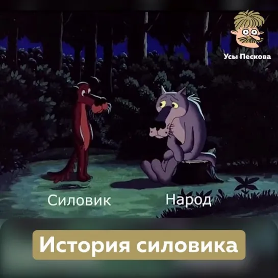 История силовика