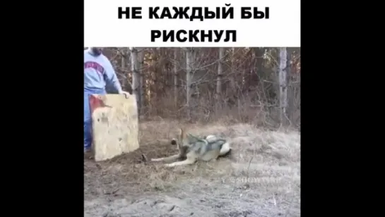 добрый поступок