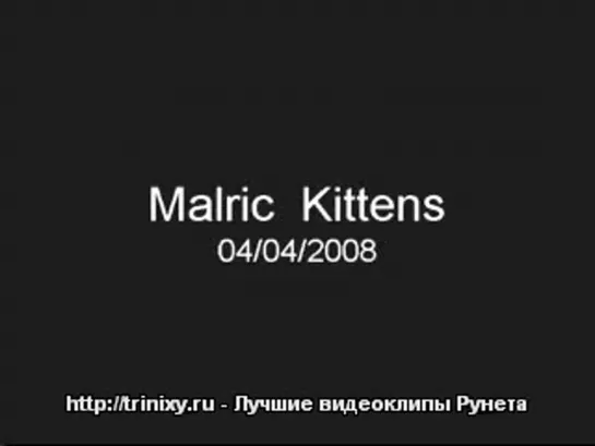 Котята  МеГаПаЗиТиВ !!! / http://antoxa.ucoz.com/