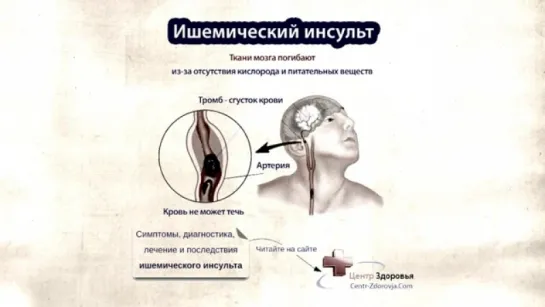 Почему мы не живём 150 лет. Какие главные принципы мы нарушаем.