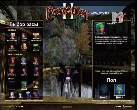 IkonaVideoigr-008-Everquest(02.03.2008)