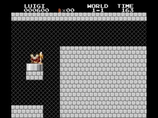 Super Mario Bros Rhino Ver (SMB1 Hack)