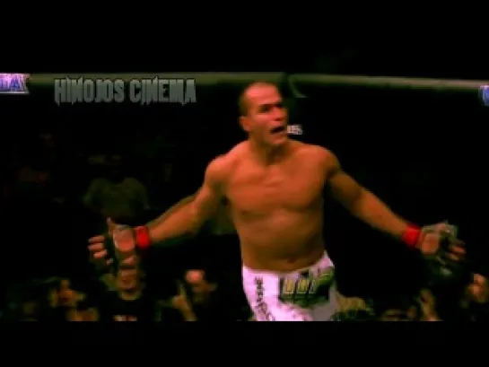 Junior "Cigano" Dos Santos (HL)