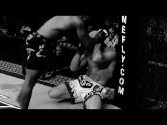 Maino-Remember my name(MMA HL)