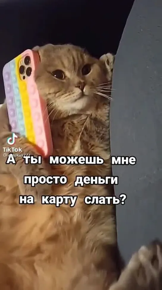 Алла!Начальник