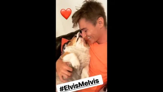 Алексей Воробьев в LA : +91°F  Элвис Мэлвис в Раю❤ Instagram Stories 31.07.2018