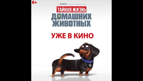 «Тайная жизнь домашних животных» - уже в Kinopark!