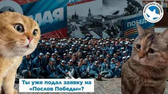 Успей подать заявку на «Послов Победы»!