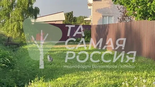 Медиафорум Волонтёров Победы «Та самая Россия»