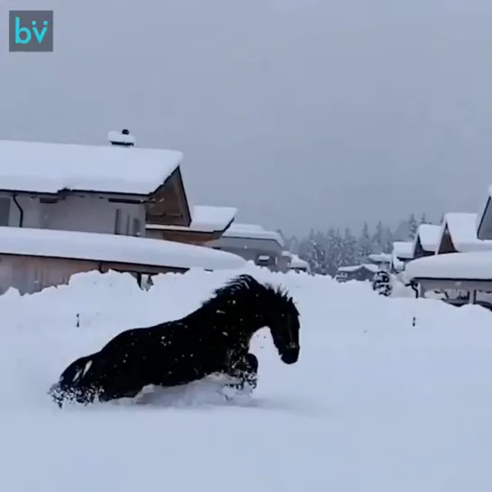 Как дети малые 😃