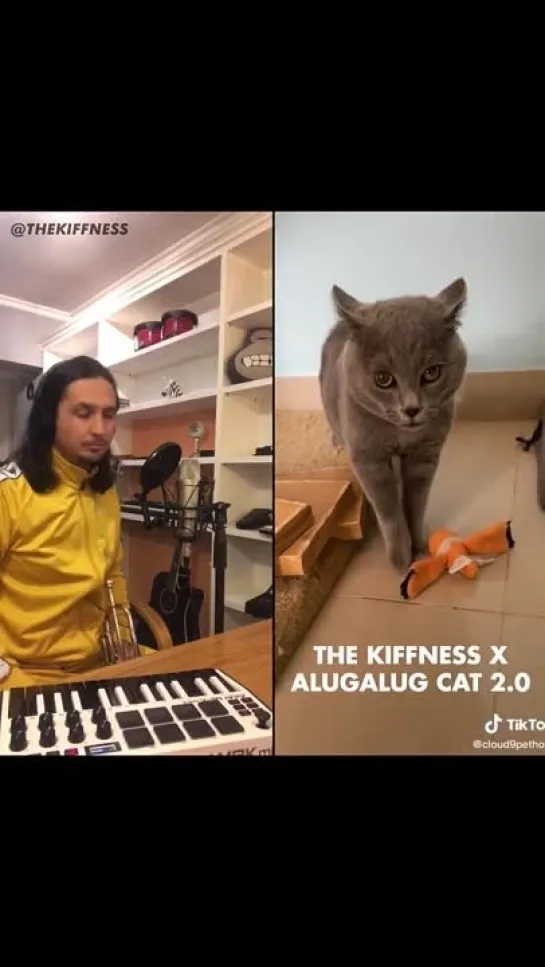 The Kiffness X Alugalug Cat 2.0 (Please Go Away)