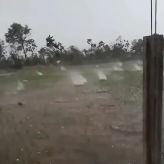 Видео от ПУТЕШЕСТВИЯ В УДИВИТЕЛЬНЫЙ МИР