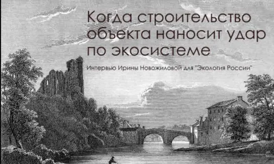 Когда строительство объекта наносит удар по экосистеме