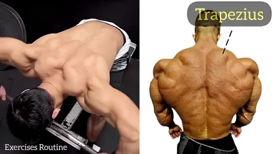 Shrugs Workout - traps Workout