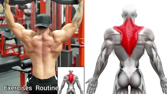 Top 8 Traps Workout Gym to Get Bigger Trap - Trapezius