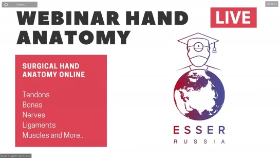 Hand Surgery. Video 1. Introduction, Lectures Extensor Flexor Tendon Anatomy, Nerve in Upper Extremity