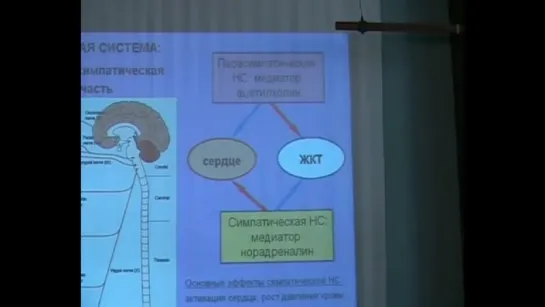 Основные принципы передачи информации в нервной системе_ роль веществ-медиаторов