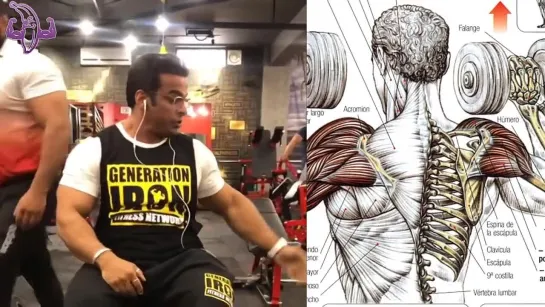 7 Ejercicios para Entrenar Pecho y Hombros, 7 Exercises to Train Chest and Shoulders