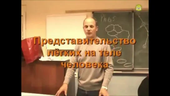 работа с шеей,  представительные зоны легких по методу Огулова А.Т. ч.5.2-8