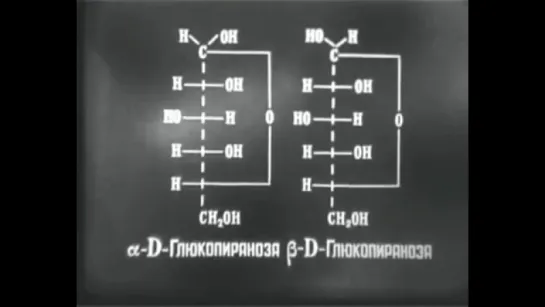 Химия Научфильм (7) Углеводы