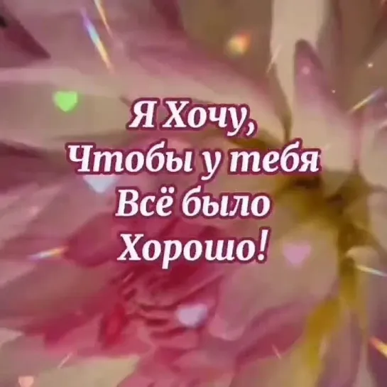 С наилучшими пожеланиями✨✨✨