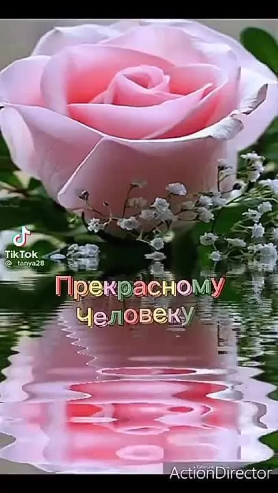 Прекрасному человеку🌹