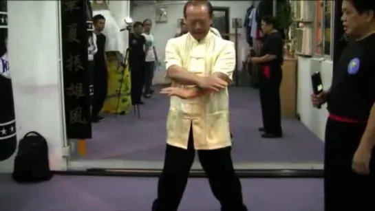 Chan Chiu Wing Chun Kuen_clip0