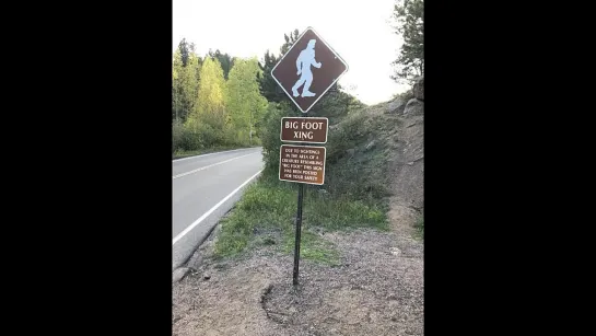 Two Bigfoot Yell at Cascade Hiker  Colorado Man Captures Sasquatch on Camera