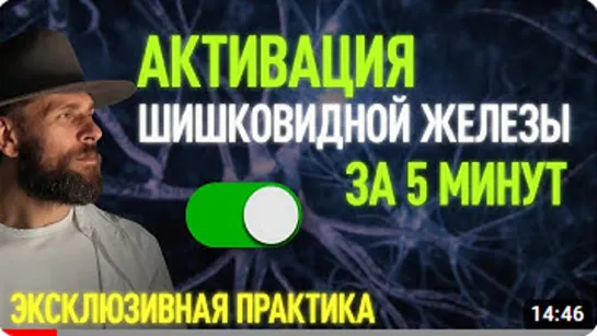 СКРЫТЫЕ СВЕРХСПОСОБНОСТИ МОЗГА. Активация шишковидной железы за 5 минут ｜ Антоний Благотворец