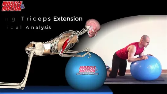 Kneeling Triceps Extension