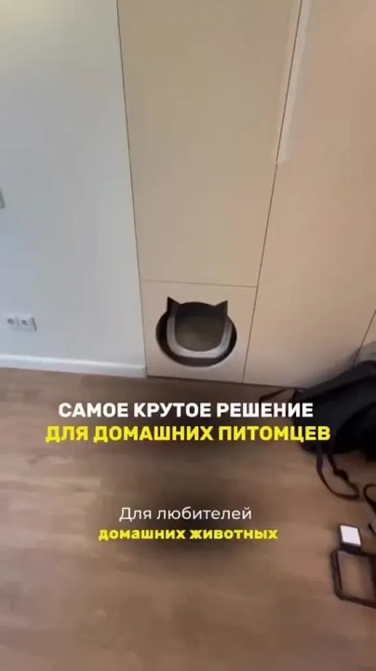 Самое крутое решение для домашних питомцев 🐈