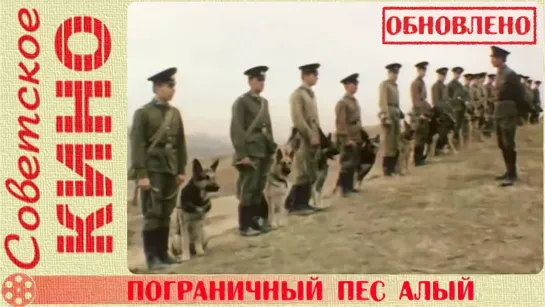 🎥 х/ф «Пограничный пес Алый» (1979 год)