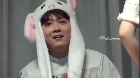 Hongki really suits all these cute stuff - - Cr pribamboo