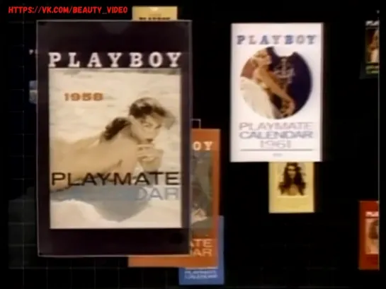 Playboy Video Playmate Calendar 1993