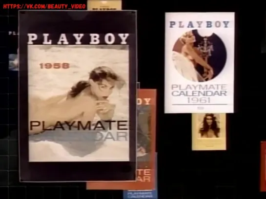 Playboy Video Playmate Calendar 1991