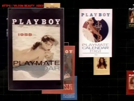 Playboy Video Playmate Calendar 1990