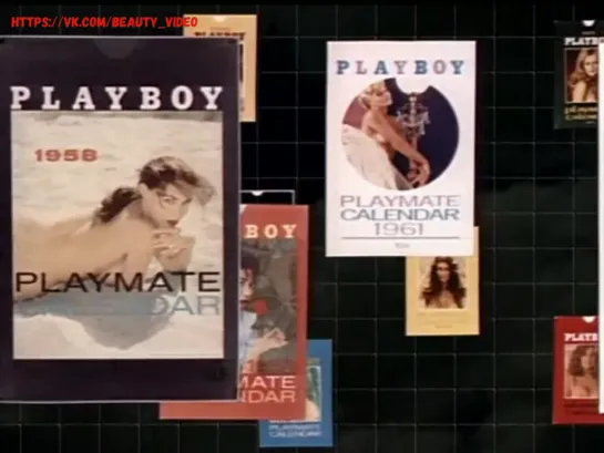 Playboy Video Playmate Calendar 1988