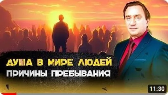 Причины пребывания души в мире людей. Сергей Серебряков