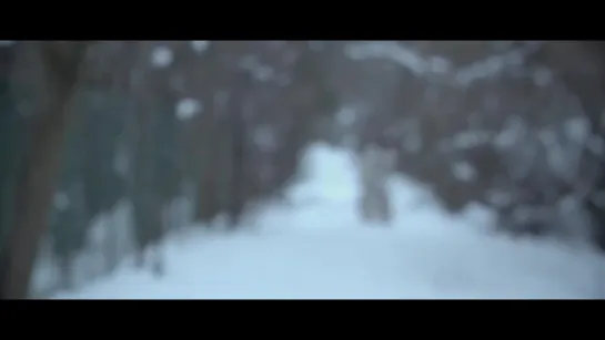 Хайдер  Haider (2014)